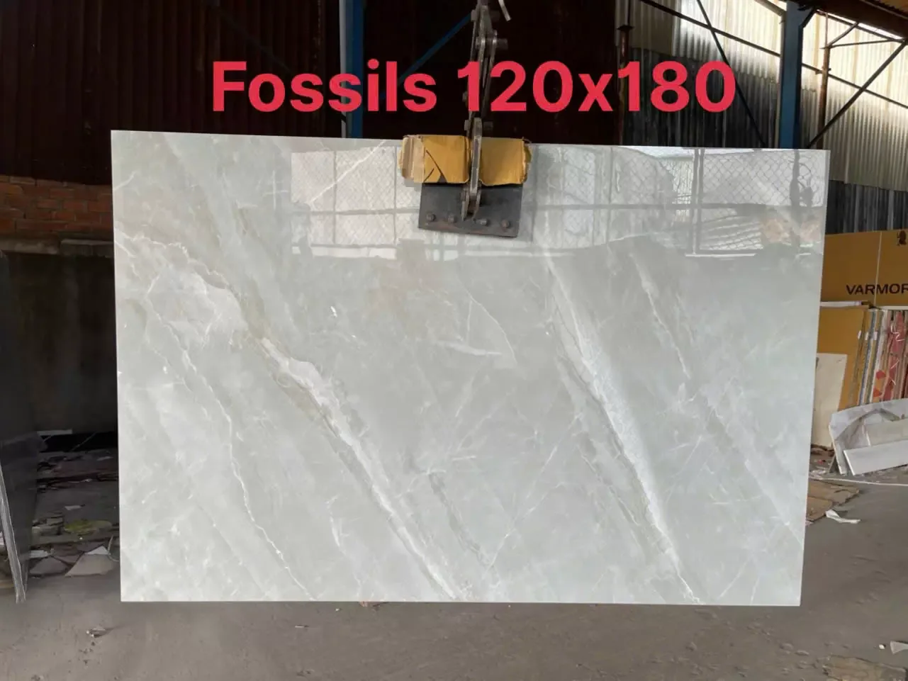 Đá Fossils